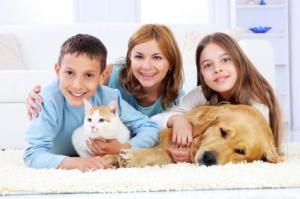 4 beneficios saludables que nos aportan las mascotas