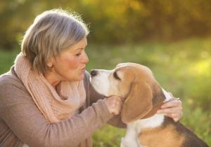 Beneficios psicológicos de la terapia asistida por animales