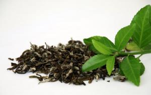 El té verde y sus beneficios en nuestra salud