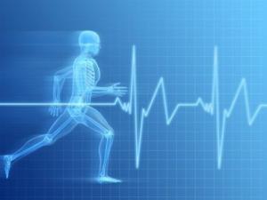 Adaptación cardiovascular al ejercicio