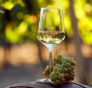Beneficios del vino y consejos para su consumo