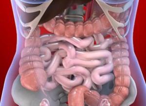 Colangiopancreatografía retrógada endoscópica