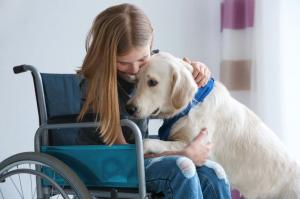 Cómo funcionan las terapias asistidas con animales
