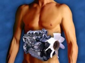 Digesti&oacute;n, absorci&oacute;n y metabolismo