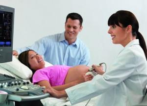 La ecografia en ginecologia y obstetricia