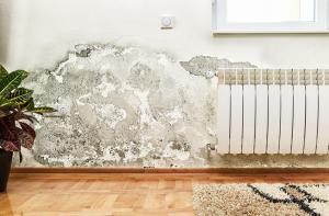 Efectos de las humedades de las paredes en la salud