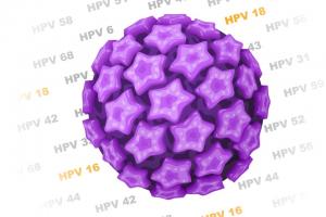 Guía del virus del papiloma humano VPH