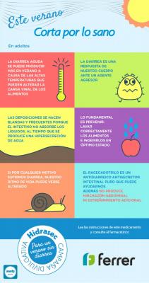 Infograf&iacute;a con claves para prevenir la gastroenteritis y las diarreas en verano