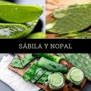 Sábila y nopal: jugo para diabéticos e hipertensos