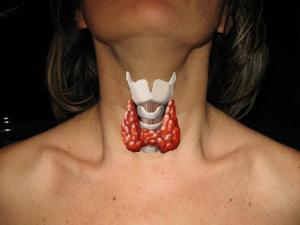 Tiroiditis: ¿Qué es y qué tipos existen?