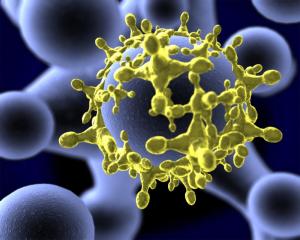 Agentes infecciosos: los virus